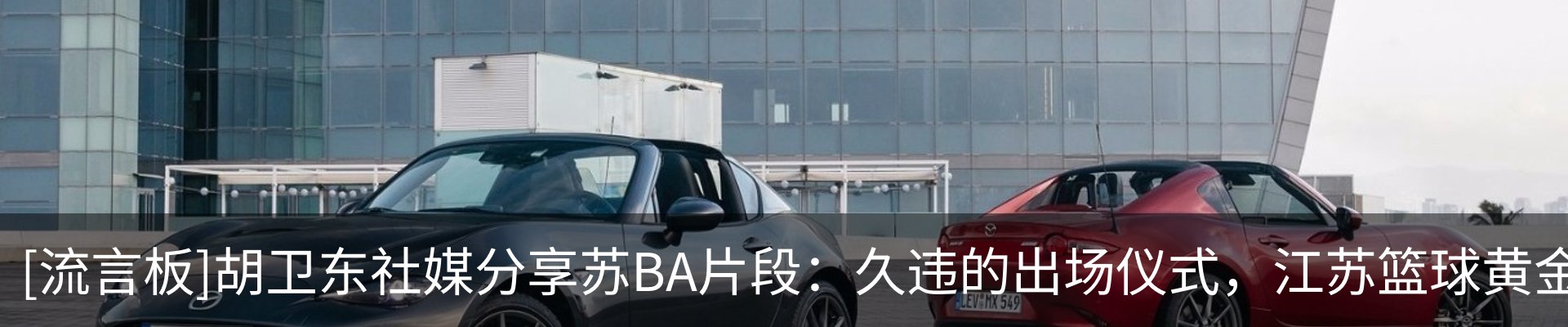 最新动态